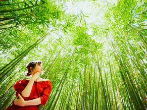 bamboo-wood