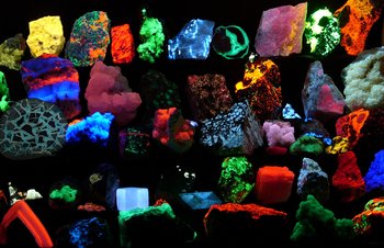 6 Types of Fluorescent Colors