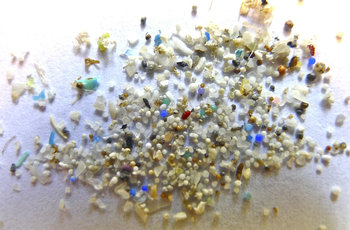 What are Microplastics?