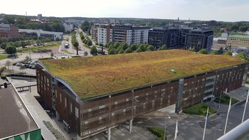 32 Examples of Green Infrastructure