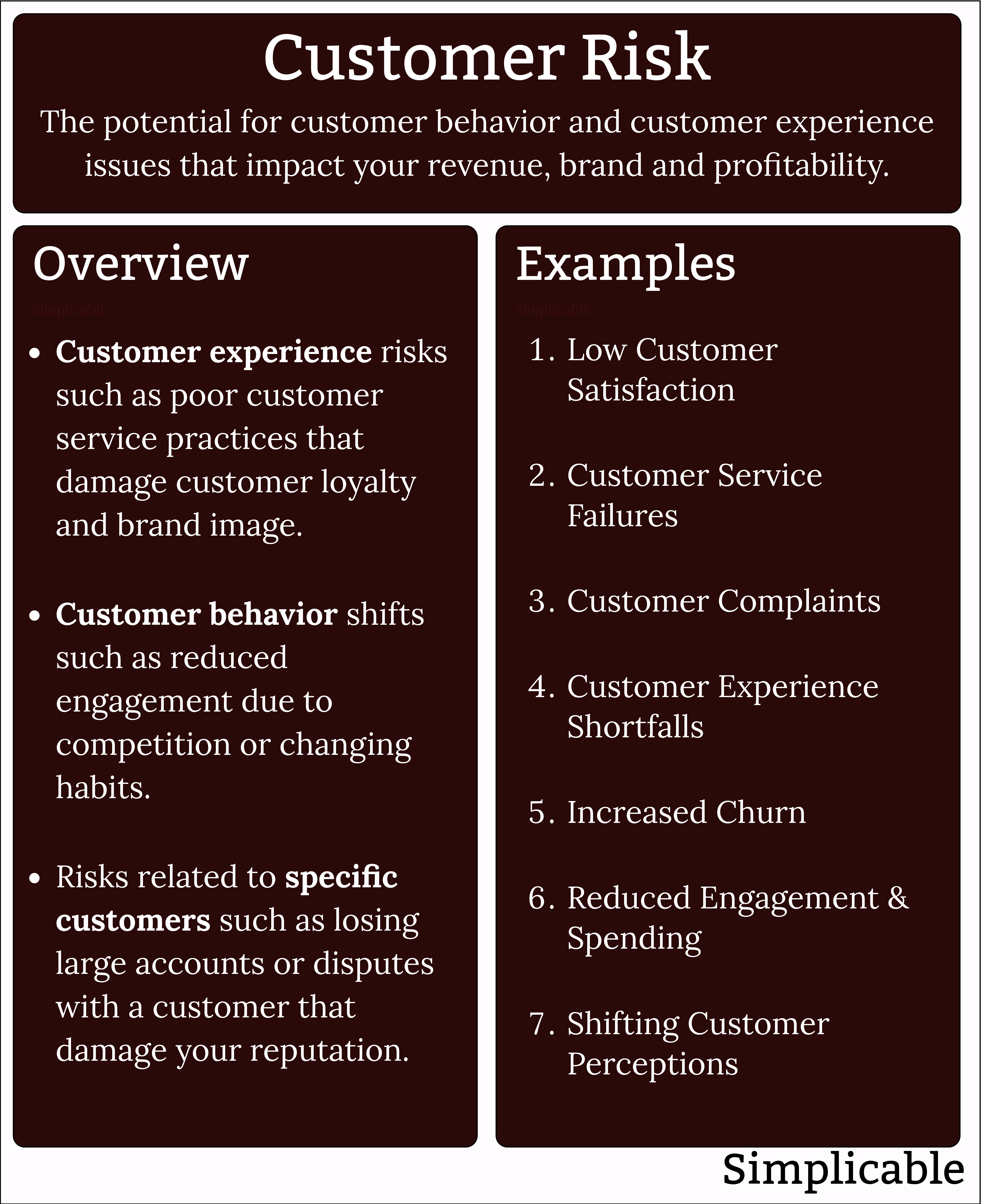 customer risk summary and examples