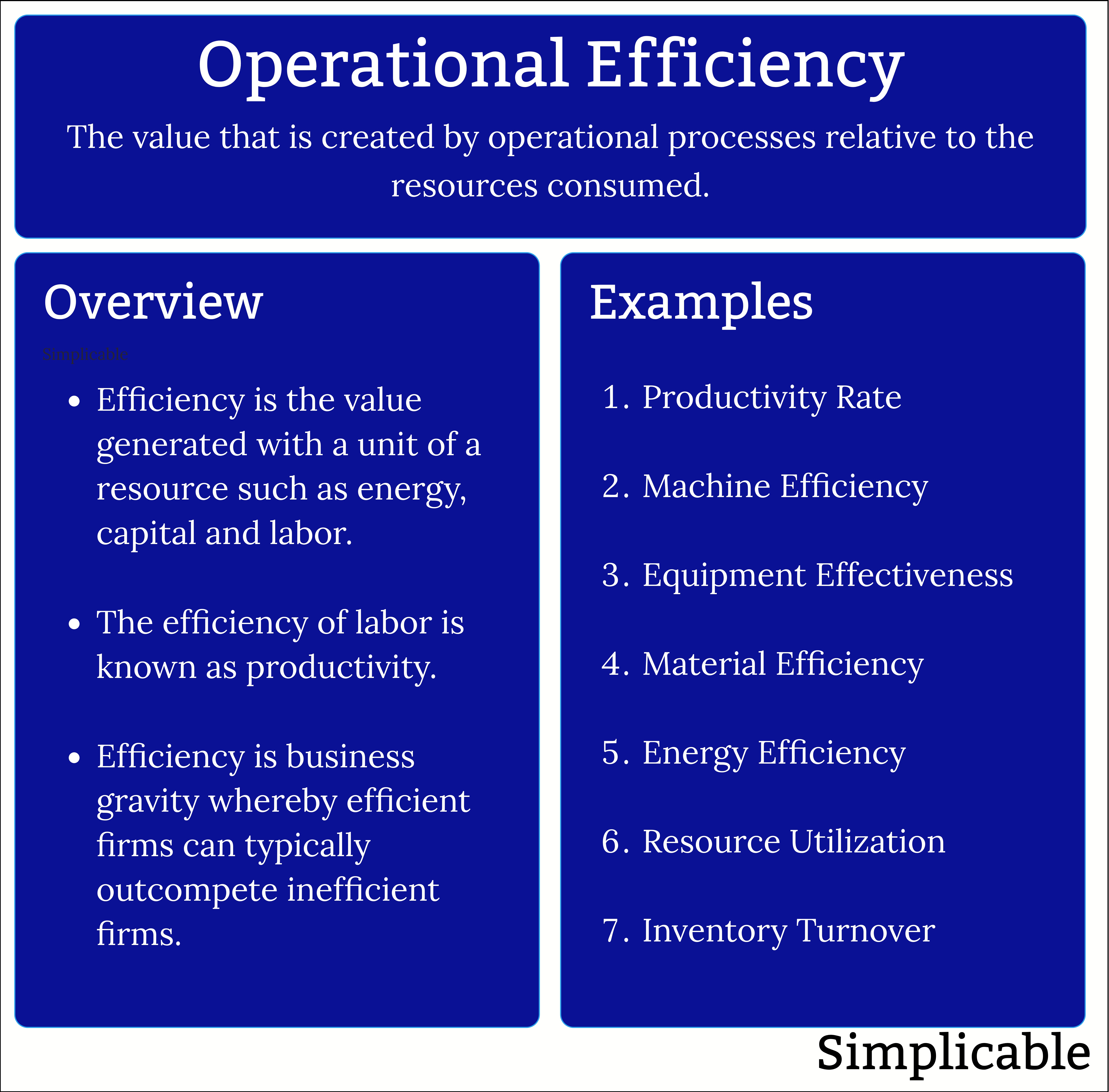 operational efficiency summary and examples