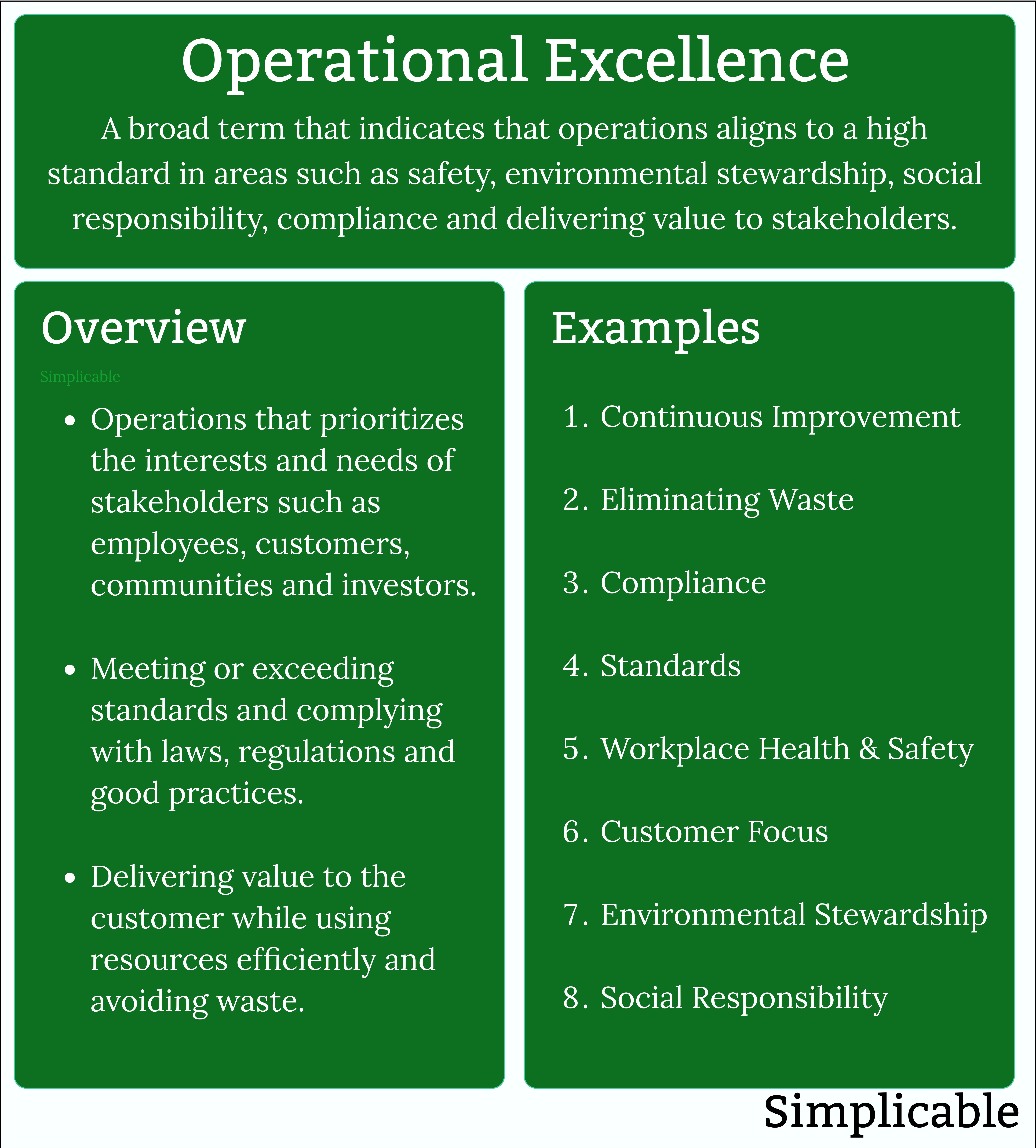 operational excellence summary and examples