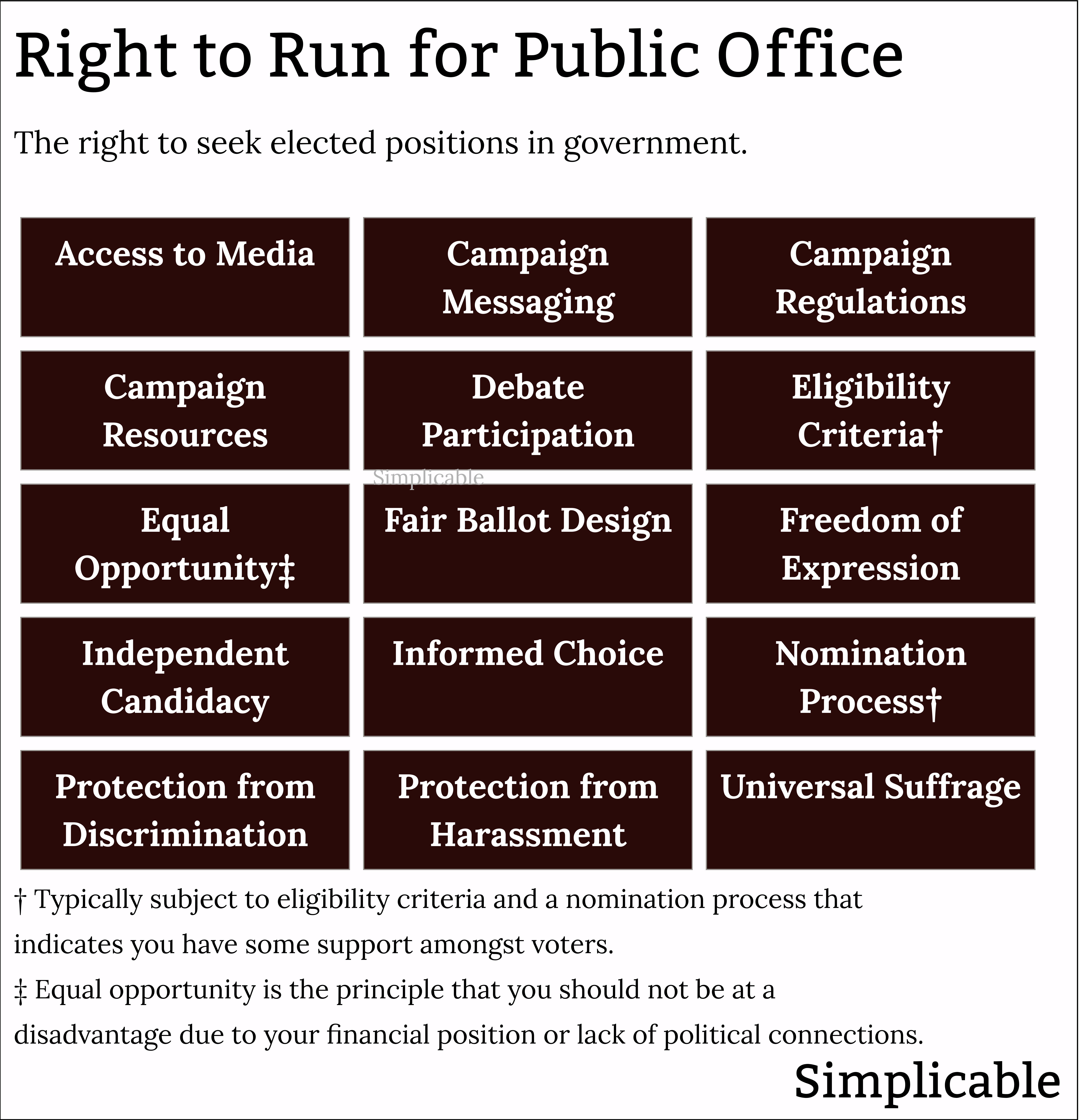 right to run for public office