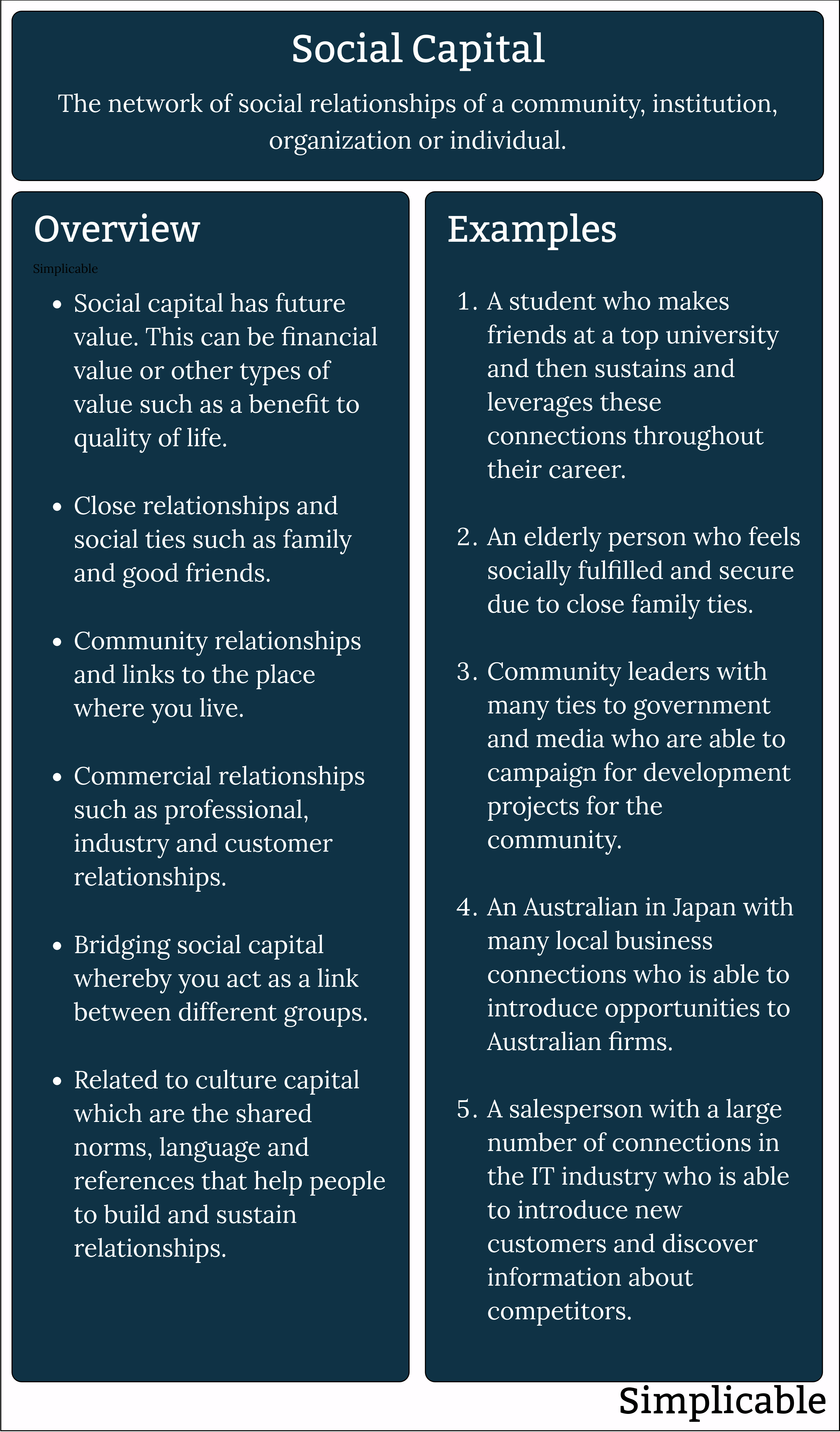 social capital overview and examples