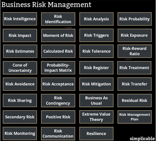 A Really Quick Guide to Business Risk Management